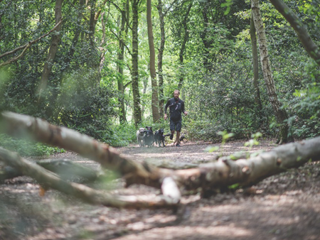 Running in the woods Running in the woods